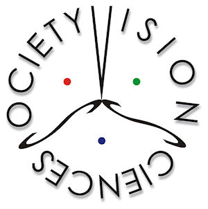 VSS logo